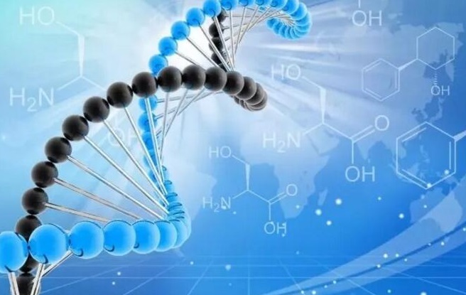 多肽合成 多肽合成