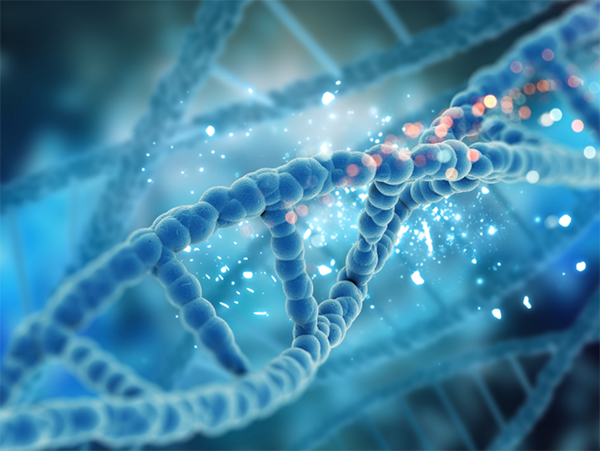 多肽合成 多肽合成