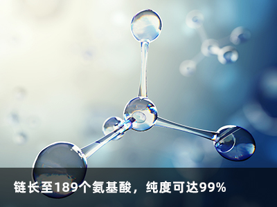 多肽合成 多肽合成