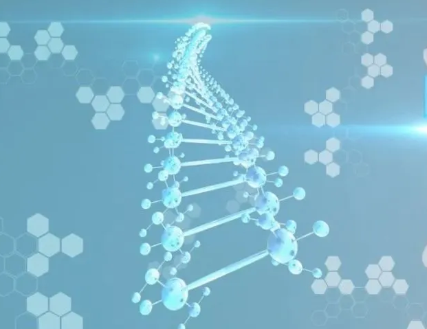 多肽合成 多肽合成