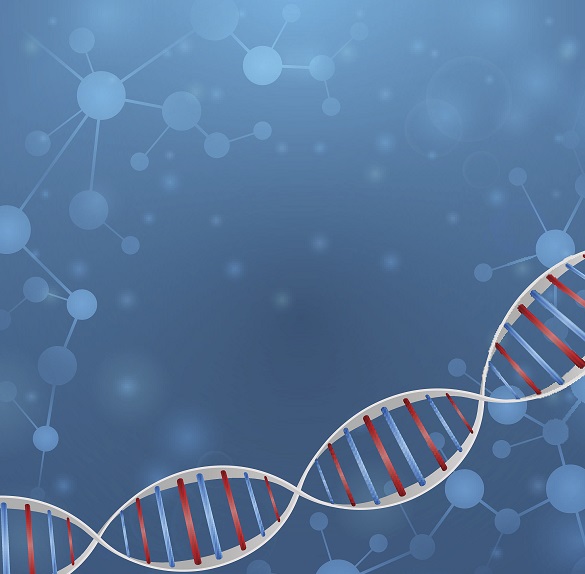 蛋白表达 蛋白表达