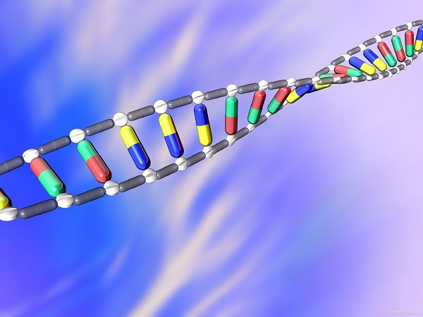 质粒载体构建 质粒载体构建