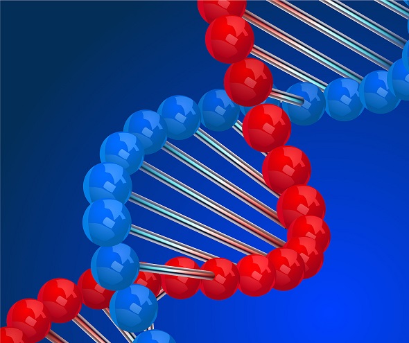 蛋白偶联 蛋白偶联