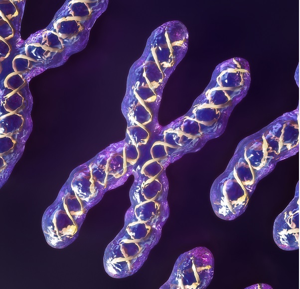 荧光标记 荧光标记