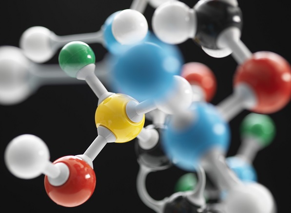 多肽链合成 多肽链合成