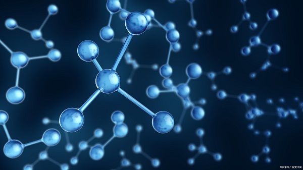 多肽生物素标记